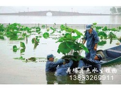天津北宁公园工程