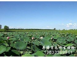 山东工程