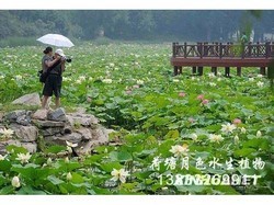北京植物园工程